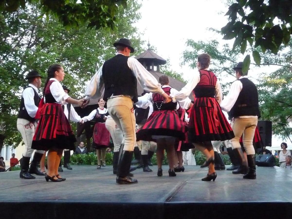 Balaton Art Guesthouse Balatonszárszó Eksteriør billede