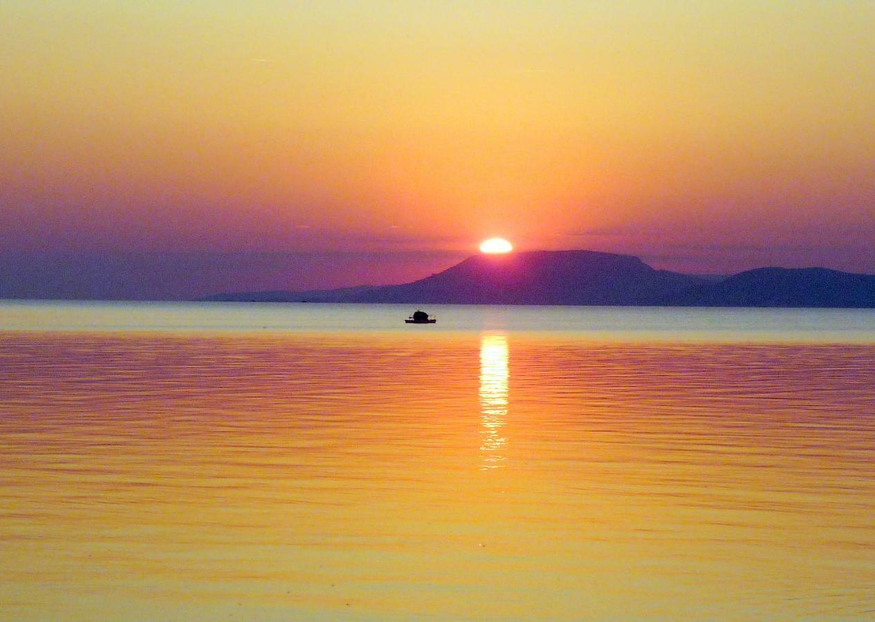 Balaton Art Guesthouse Balatonszárszó Eksteriør billede